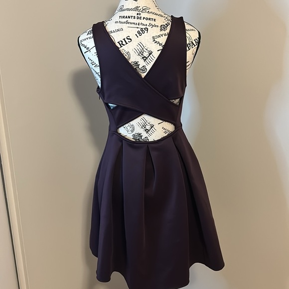 Elegant Purple Sleeveless Dress - Picture 7 of 10